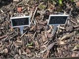 image of grave number 148219